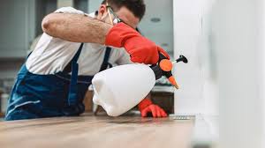 Real Estate Pest Inspections in Oak Brook, IL